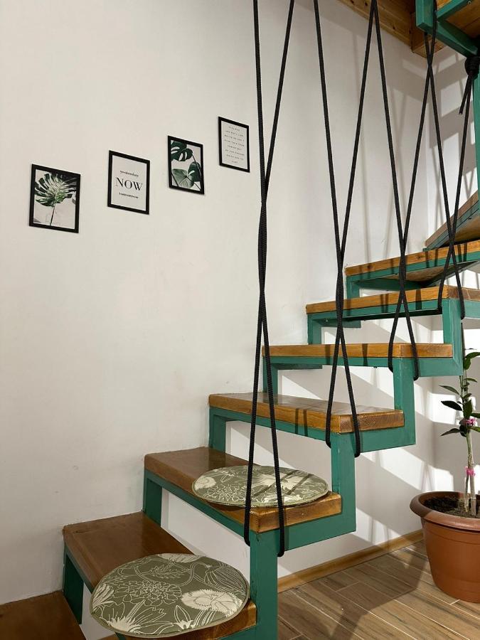 Woodstar/ტყის ვარსკვლავი *