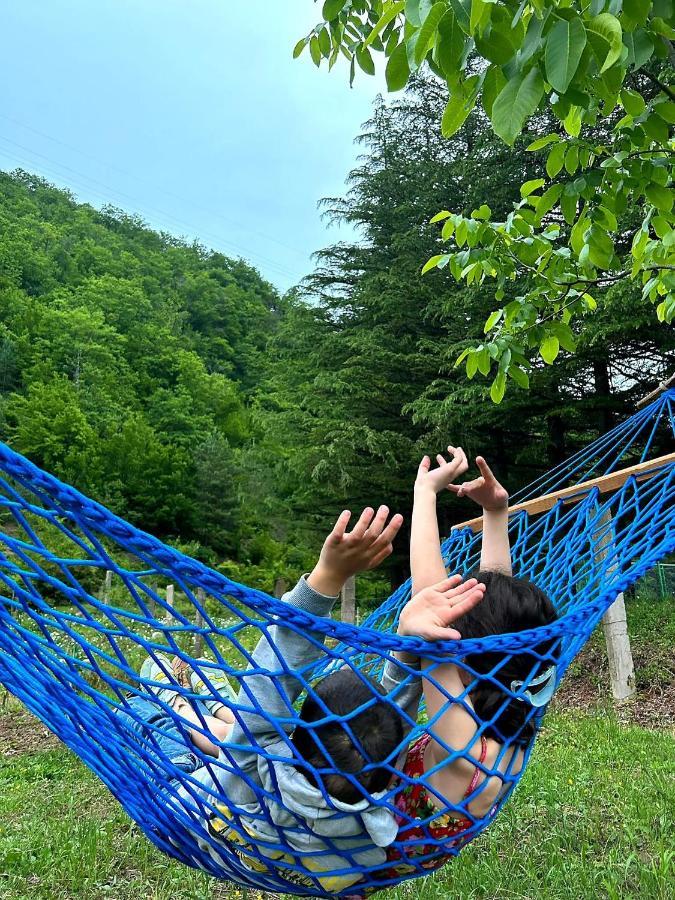 Woodstar/ტყის ვარსკვლავი Dom wakacyjny Ambrolauri
